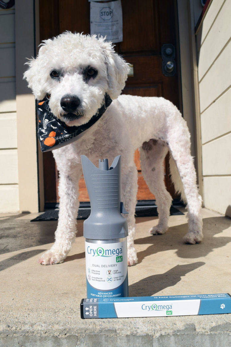 Services Moore Veterinary Care