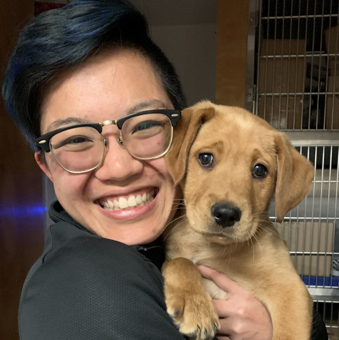 Meet Our Team Moore Veterinary Care