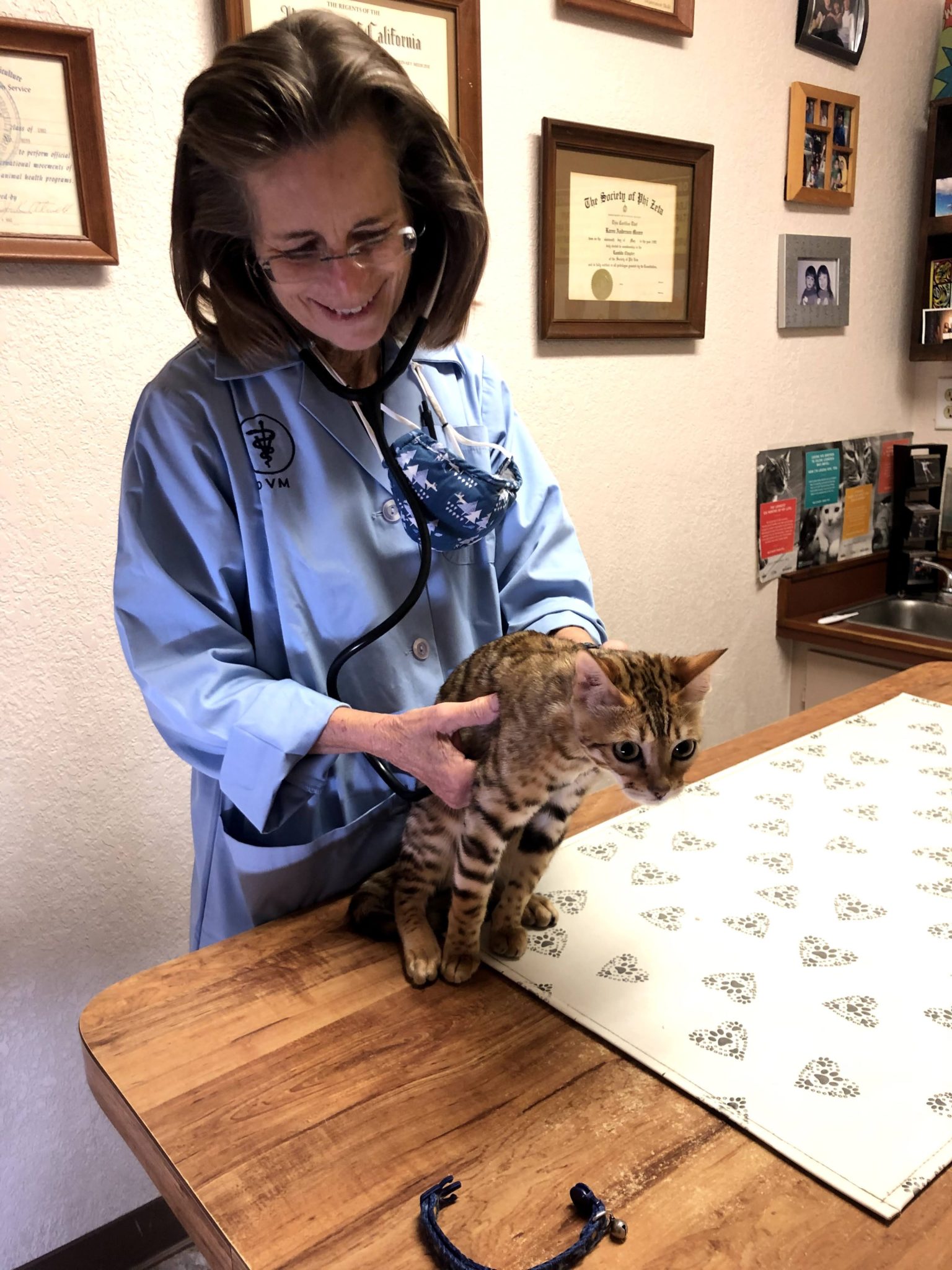 Services Moore Veterinary Care