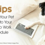 5 Tips to Help Your Pet Adjust to Your Back to Work Schedule