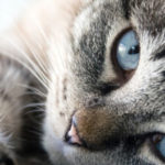 Preventing and Treating Hot Spots