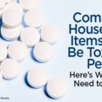 Common Household Items Can Be Toxic to Pets: Here's What You Need to Know