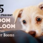 5 Ways to Prevent Doom & Gloom from Summer Booms